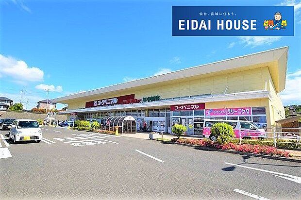 ヨークベニマル南中山店 徒歩9分。 720m