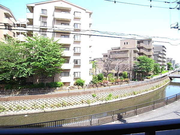 東側眺望。上戸田川が流れる自然豊かで閑静な住宅街です。