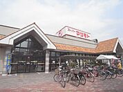マツモト 大井店まで350メートル