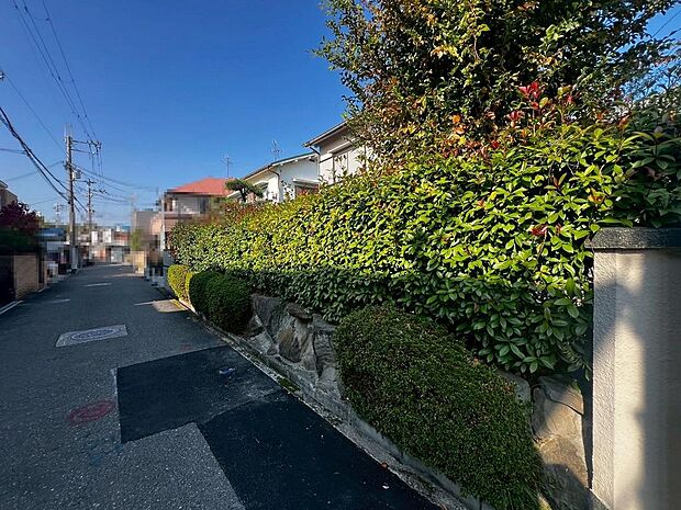 南・東向きの角地！日当り・通風良好な快適な住まいになりますね♪