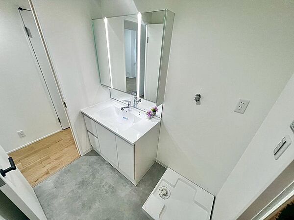 身だしなみを整えるのに重宝するシャワー付きの洗面台です♪洗面台に収納もあるため、整頓しやすいですね！
