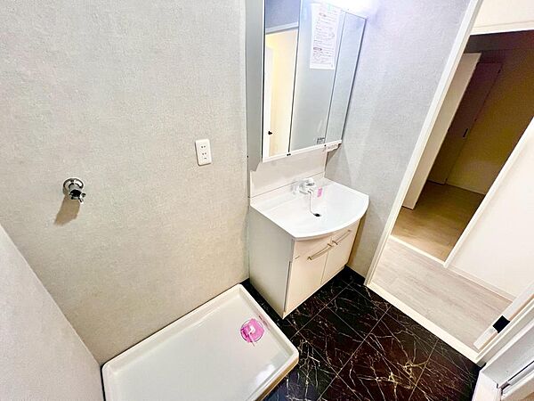 【シャワー付き洗面台】身だしなみを整えるのに重宝するシャワー付きの洗面台です♪洗面台に収納もあるため、整頓しやすいですね！