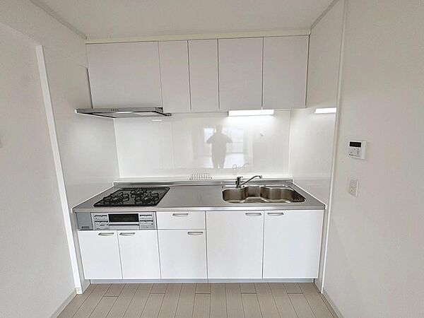 【システムキッチン新調】システムキッチンがあります♪収納があるおかげでキッチンも広く利用できるのは、お料理される方の嬉しいポイント♪食器洗浄乾燥機付！