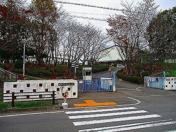 庭代台小学校