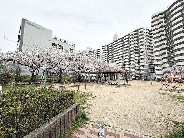 セブンイレブンまで徒歩５分♪コクミンドラッグまで徒歩１１分♪ジョーシンまで徒歩２５分♪お買い物に便利な立地ですね！