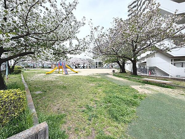 マンションの横に楢葉しらいとそう公園があります！お子様との遊び場所にもいいですね♪緑豊かで季節の移ろいを身近に感じられますね！