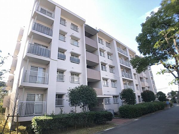 押入れ、大きめの納戸も約2.5帖あり、収納に困ることはありません。