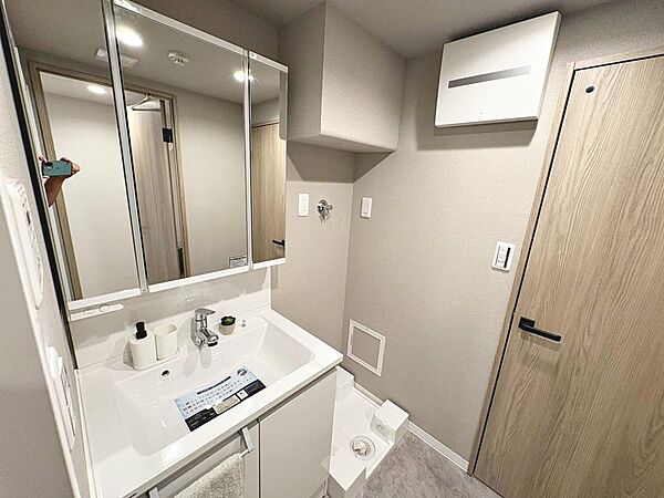 【洗面台新調】身だしなみを整えるのに重宝するシャワー付きの洗面台です♪洗面台に収納もあるため、整頓しやすいですね！