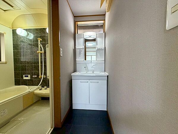 シャワー付き洗面台です！毎日の身支度も楽々ですね！