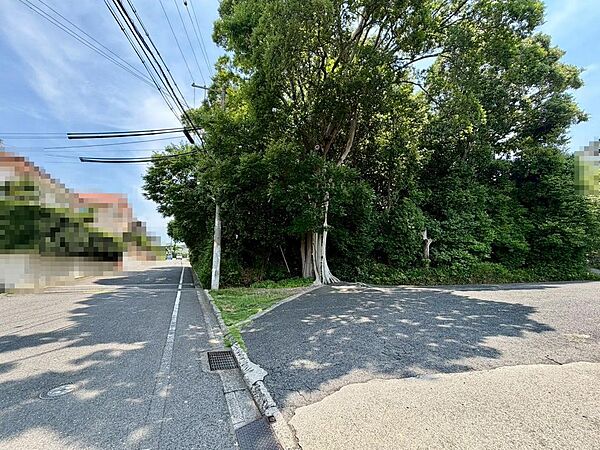前面道路約６ｍ！運転の苦手な方も安心ですね♪