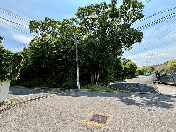 【個性あふれる住まいを実現「建築条件なし」】