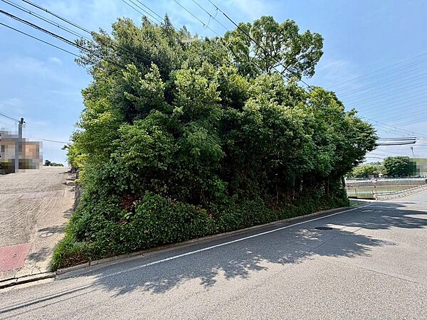 家探しはどうやってするの？から資金のことや住宅ローン、税金や制度のことまで住宅の難しいことをわかりやすく説明いたします♪