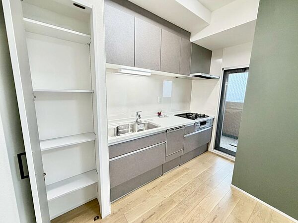 【キッチン新調】勝手口ございますので、すぐ外に生ごみを出せるので臭いがこもりにくいですよ！