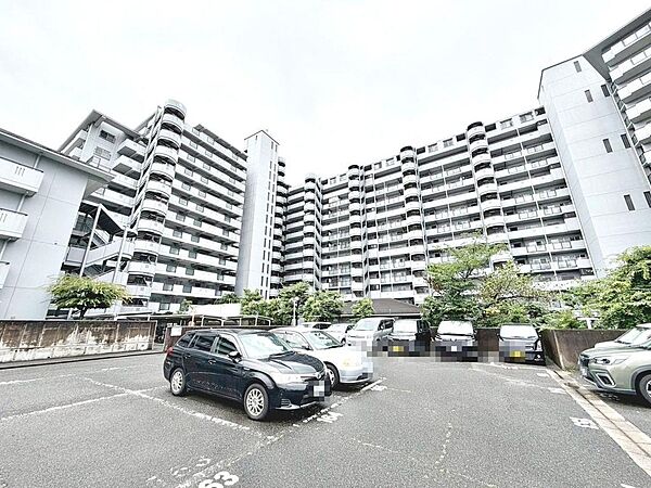 収納スペース有ります！キッチンに床下収納もありますよ！収納場所に困らず綺麗な室内をたもてますね♪たくさん収納できます♪