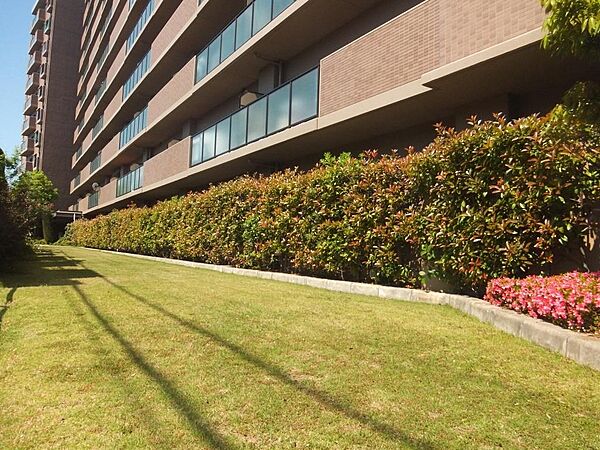 床材もリフォームしますよ！綺麗な室内をぜひ現地にてご体感下さい♪