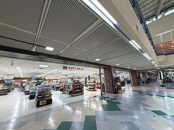デイリーカナートポートタウン店まで徒歩１３分