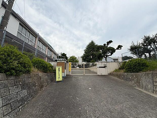 南中学校まで徒歩11分