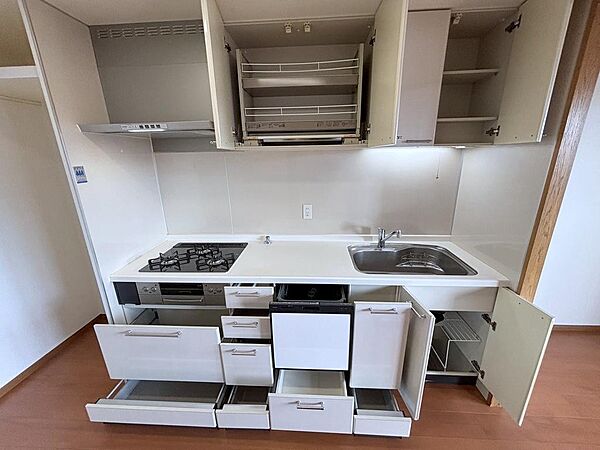 【使いやすいシステムキッチンですよ】食器洗浄乾燥機やディスポーサー付！生ごみの処理や後片付けも楽々ですね♪