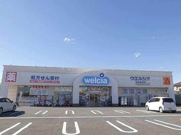 ウエルシア高崎棟高店 373m