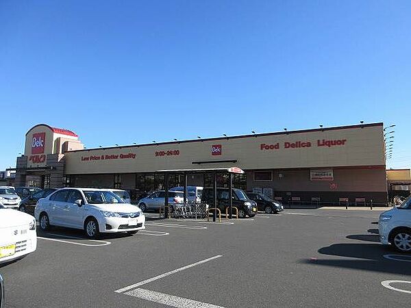 ベルクベスタ大泉店 2046m