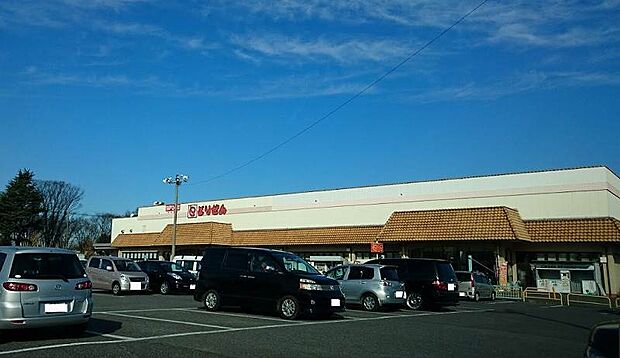 とりせん大泉店 1670m