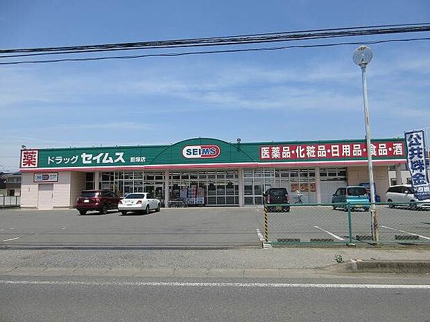 ドラッグセイムス薮塚店 419m