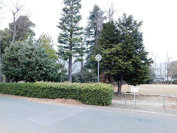 いずみ総合公園 1190m