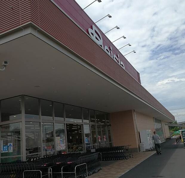 ベイシアスーパーマーケット小山店 1100mカインズモールの道挟んで西側にあります。　 