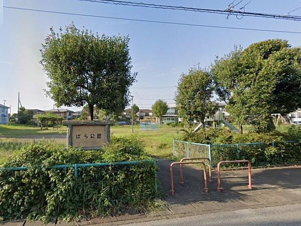 ばら公園 1100m