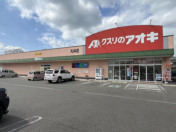 クスリのアオキ 丸林店 700m