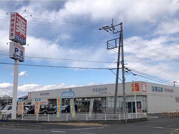 ウエルシア小山雨ヶ谷店 1610m