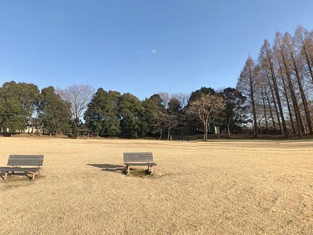 小山運動公園 1350m野球場、陸上競技場、サッカー場、テニスコート、遊具、外周約1.5キロのウォーキング、木々も多く、桜や紅葉も楽しめます