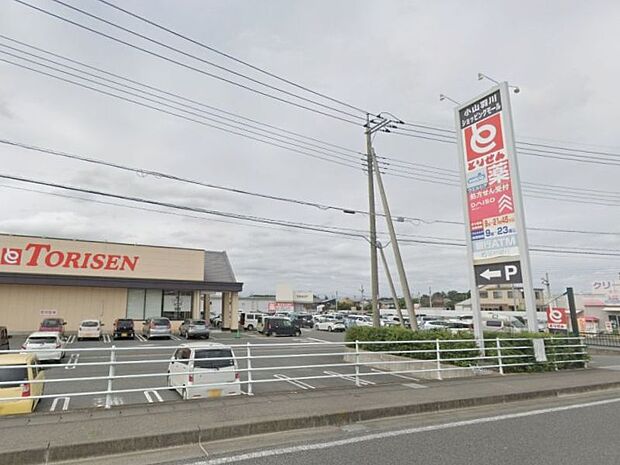小山羽川ショッピングモール 1800m食料品から日用雑貨まで買いそろえられます♪ダイソー・とりせん・美容室・ウェルシアがあり、お買物はここでOK!とりせんは9:00から21:45まで営業してます。