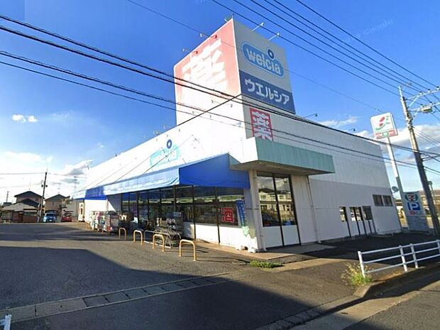 ウエルシア小山間々田店 800m