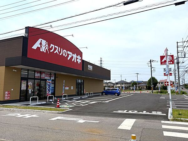 クスリのアオキ　小山平和店 300m
