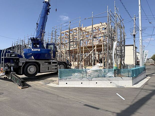 現地写真♪(2026.3.9撮影)