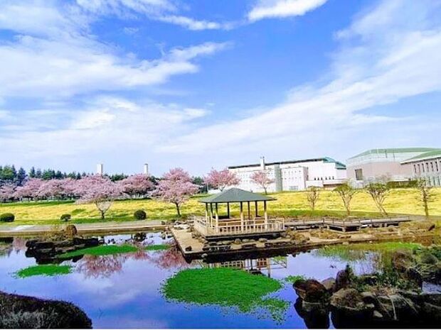 小山総合公園 2500m 大型のアスレチック遊具や変形自転車やバッテリーカーのレンタル、噴水広場、バーべキュー広場等があって、散歩をしたり、かけっこ、昼寝等が出来ます。