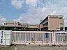周辺：伊勢崎市立坂東小学校 1376m近くには公園があり、豊な緑に囲まれた落ち着いた環境で勉強に取り組むことができます♪