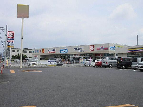 ウエルシア伊勢崎市場店 2016m