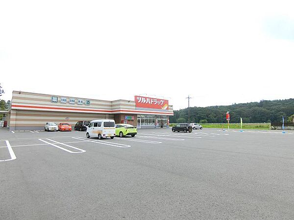 ツルハドラッグ宇都宮下田原店 2117m