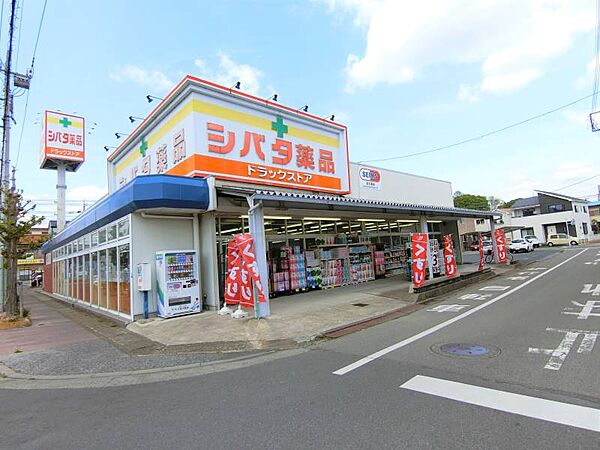 シバタ薬品住吉店 210m