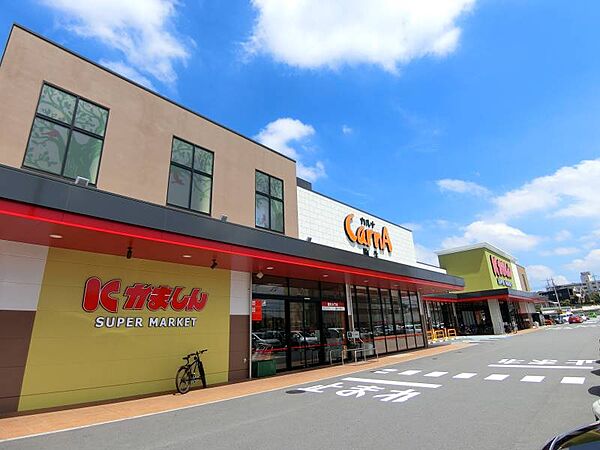かましんカルナ駒生店 1237m