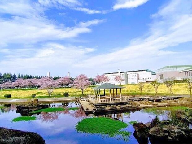 小山総合公園 2500m大型のアスレチック遊具や変形自転車や噴水広場、バーべキュー広場等があって、散歩をしたり、芝生の上でかけっこ、昼寝、読書等、思い思いに1日中のんびりと過ごすことができます。