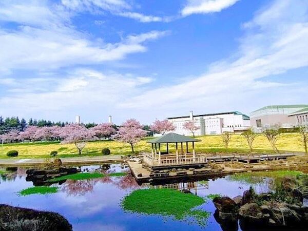 小山総合公園 2500m大型のアスレチック遊具や変形自転車や噴水広場、バーべキュー広場等があって、散歩をしたり、芝生の上でかけっこ、昼寝、読書等、思い思いに1日中のんびりと過ごすことが出来ます。