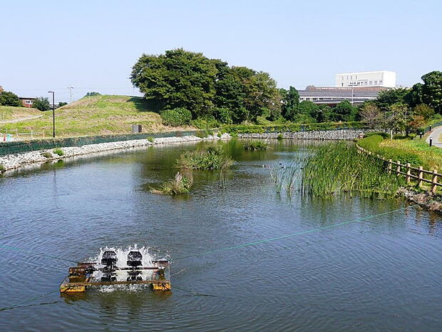 【公園】呉羽山公園都市緑化植物園まで672ｍ