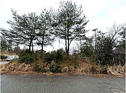 福井県あわら市下金屋30字ヨメヲドシ21番57