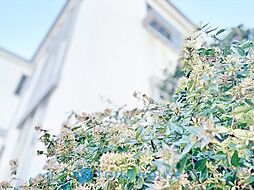 東京都杉並区桃井１丁目