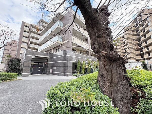 外観：313004530889