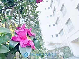 ガーデンハウス