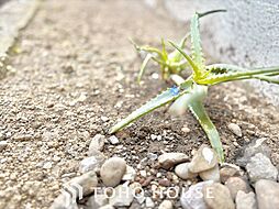 東京都北区豊島６丁目
